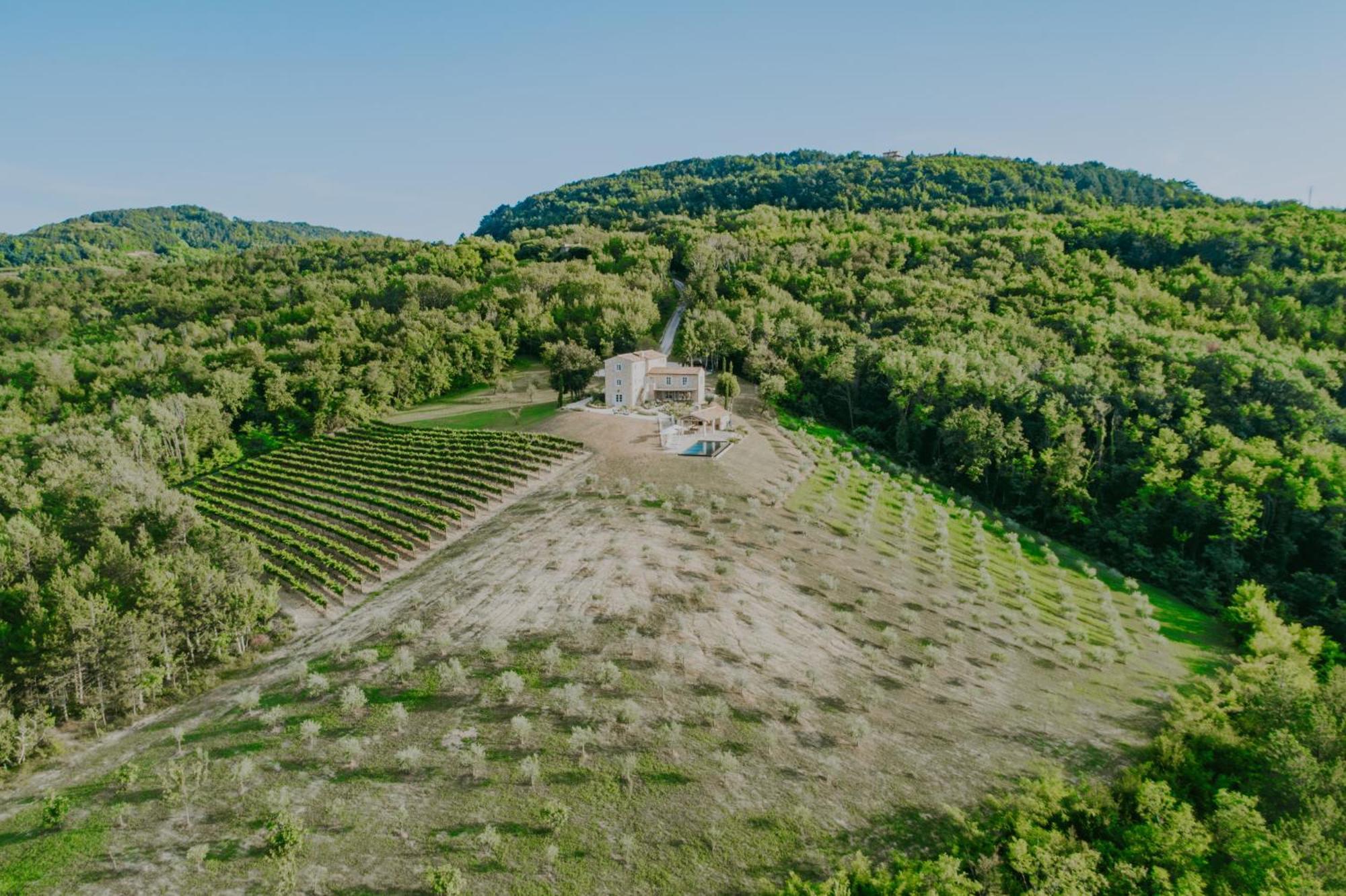 Luxury Estate With 6 Hectares Land Near Hilltop Town Motovun Kaldir Exterior foto